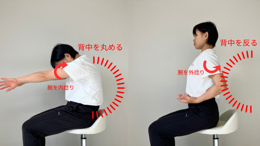 椅子に座ってキャット&カウ(骨盤前後傾&肩甲骨内外転)