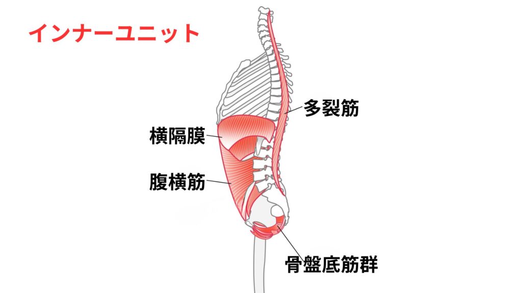 呼吸が浅いと、体幹が安定しない